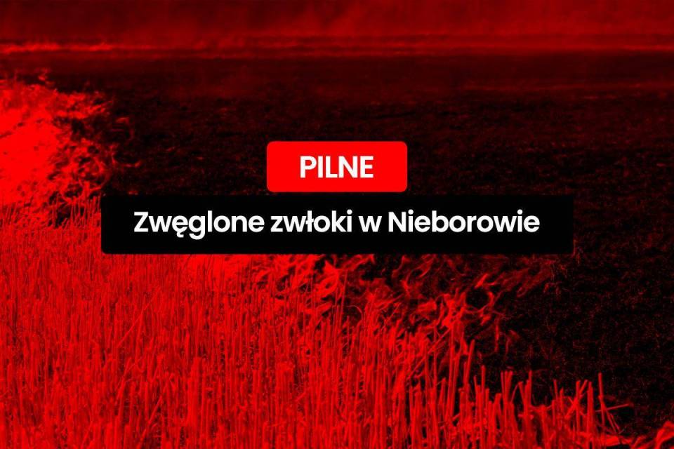 Tragedia w Nieborowie. Nie żyje 85-letni mężczyzna